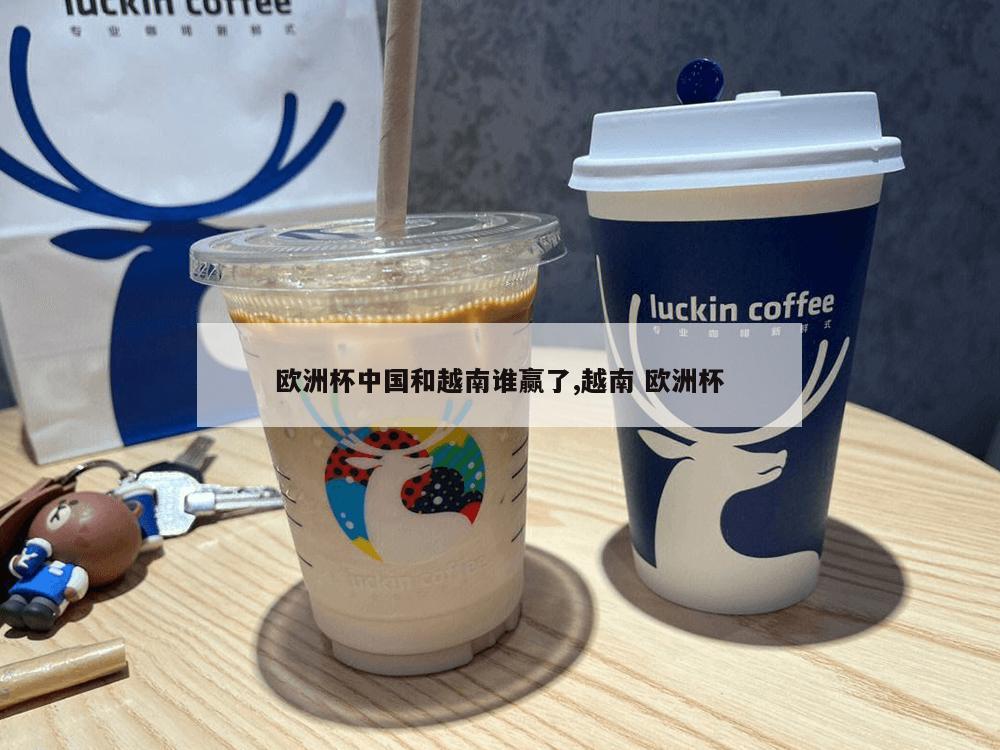 欧洲杯中国和越南谁赢了,越南 欧洲杯