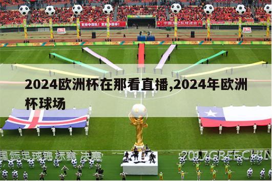 2024欧洲杯在那看直播,2024年欧洲杯球场