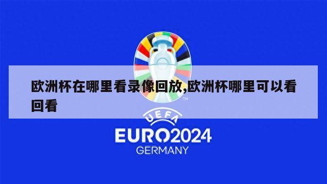 欧洲杯在哪里看录像回放,欧洲杯哪里可以看回看