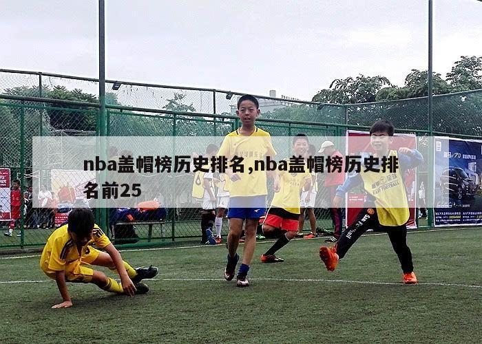 nba盖帽榜历史排名,nba盖帽榜历史排名前25