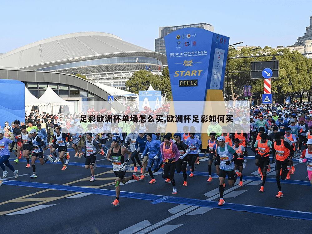 足彩欧洲杯单场怎么买,欧洲杯足彩如何买