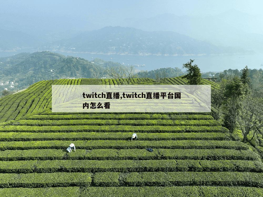 twitch直播,twitch直播平台国内怎么看