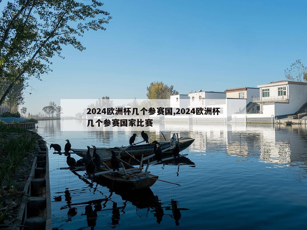 2024欧洲杯几个参赛国,2024欧洲杯几个参赛国家比赛