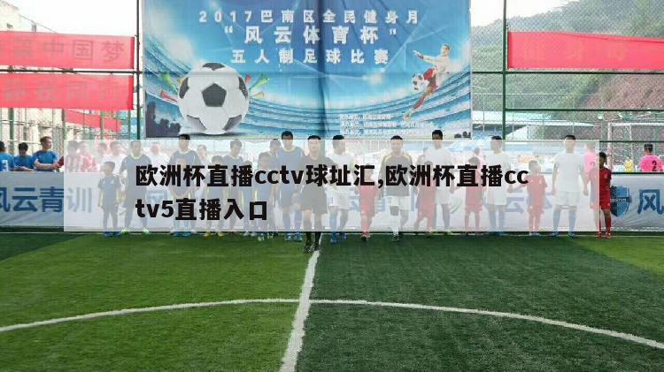 欧洲杯直播cctv球址汇,欧洲杯直播cctv5直播入口