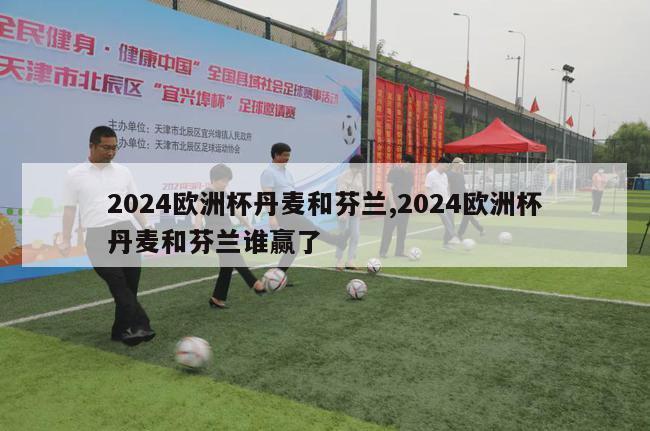 2024欧洲杯丹麦和芬兰,2024欧洲杯丹麦和芬兰谁赢了