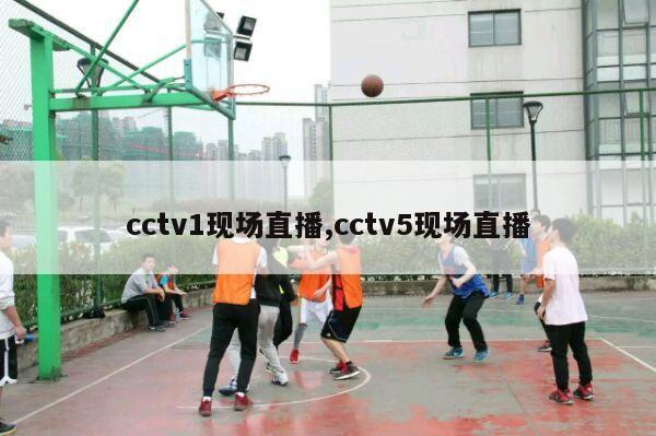 cctv1现场直播,cctv5现场直播