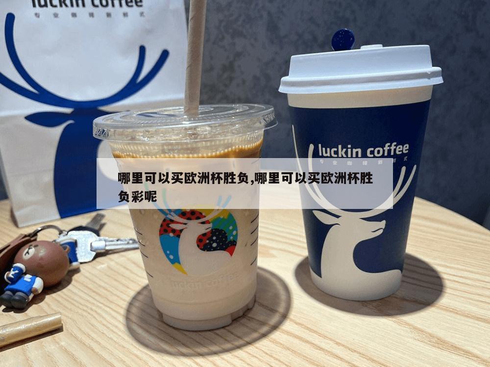 哪里可以买欧洲杯胜负,哪里可以买欧洲杯胜负彩呢