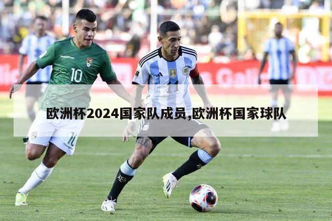 欧洲杯2024国家队成员,欧洲杯国家球队