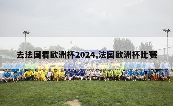 去法国看欧洲杯2024,法国欧洲杯比赛