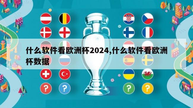 什么软件看欧洲杯2024,什么软件看欧洲杯数据